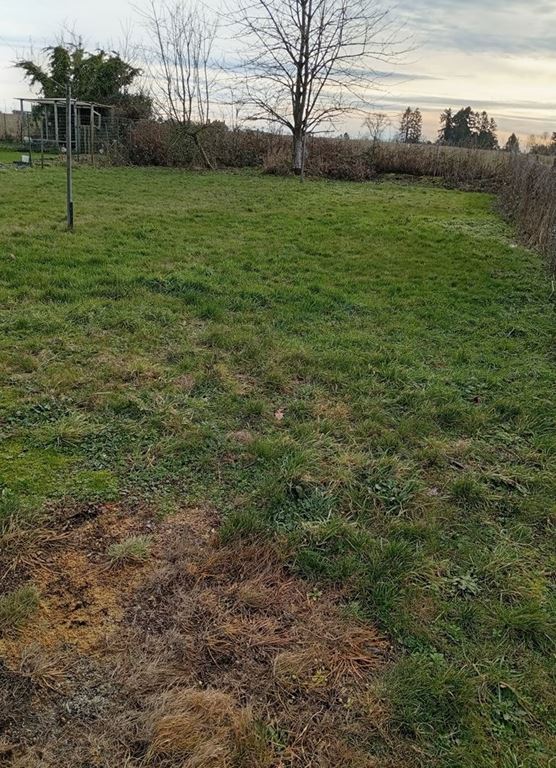 Maison de plain pied LEVAL (59620) DUO-IMMOBILIER