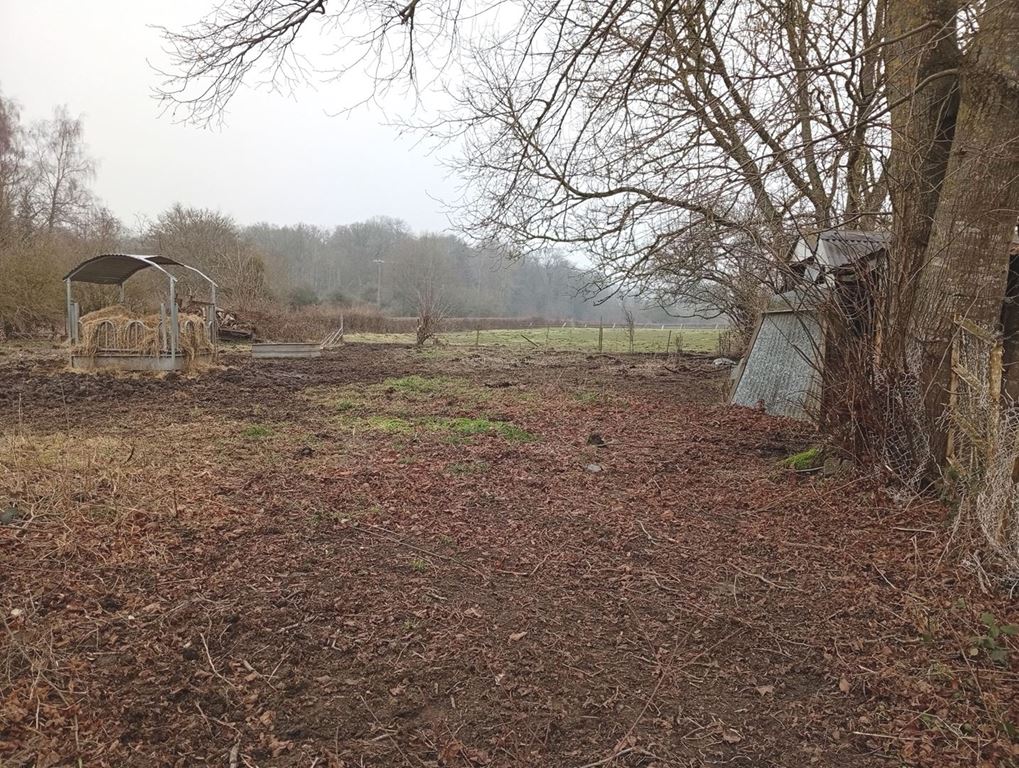 Maison BERLAIMONT (59145) DUO-IMMOBILIER